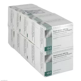 NEPHROTRANS Gélules gastro-résistantes de 840 mg, 500 gélules