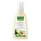 RAUSCH Shampooing protecteur de couleur à lavocat, 200 ml