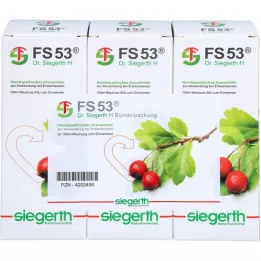 FS 53 Dr.Siegerth H liquide, 3X100 ml