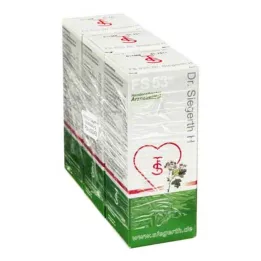FS 53 Dr.Siegerth H liquide, 3X100 ml