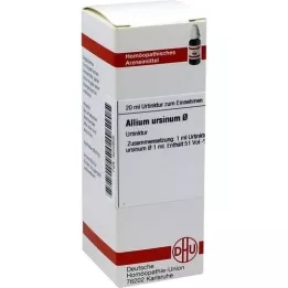 ALLIUM URSINUM Teinture mère, 20 ml