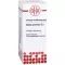 BELLIS PERENNIS D 2 Dilution, 20 ml