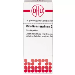 CALADIUM seguinum C 200 globules, 10 g