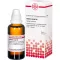 HEDERA HELIX D 4 Dilution, 50 ml
