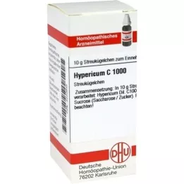 HYPERICUM C 1000 globules, 10 g