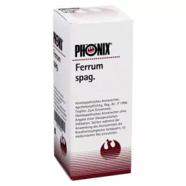 PHÖNIX FERRUM Mélange spag., 50 ml