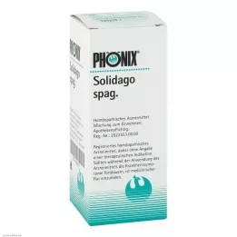 PHÖNIX SOLIDAGO Mélange spag., 100 ml