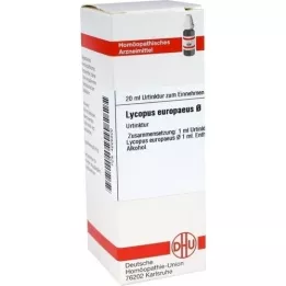 LYCOPUS EUROPAEUS Teinture mère, 20 ml