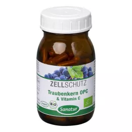 OPC TRAUBENKERN &amp; Gélules de vitamine C, 90 gélules