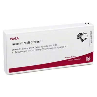 ISCUCIN mali amidon F ampoules, 10X1 ml
