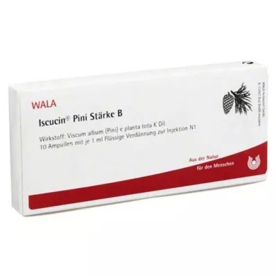 ISCUCIN Ampoules de pini Amidon B, 10X1 ml