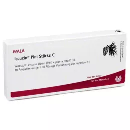 ISCUCIN Ampoules de pini Amidon C, 10X1 ml