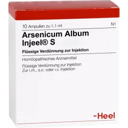 ARSENICUM ALBUM INJEEL Ampoules S, 10 pces