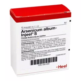 ARSENICUM ALBUM INJEEL Ampoules S, 10 pces