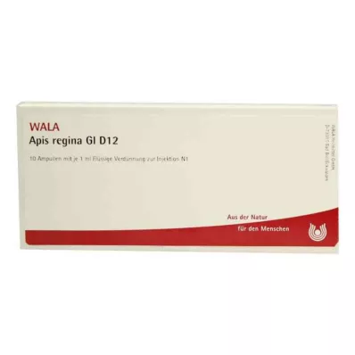 Ampoules Apis Regina Gl D12 (10x1 ml)