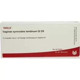 VAGINAE synoviales tendinum GL D 5 ampoules, 10X1 ml