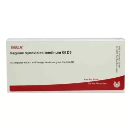 VAGINAE synoviales tendinum GL D 5 ampoules, 10X1 ml