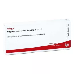VAGINAE synoviales tendinum GL D 8 ampoules, 10X1 ml