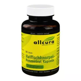 HAIFISCH KNORPEL Gélules de concentré, 90 gélules