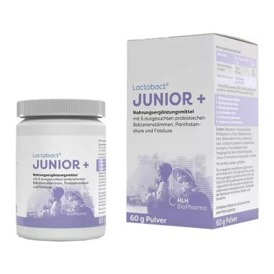 LACTOBACT Poudre Junior, 60 g