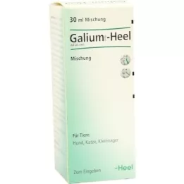 GALIUM COMP.-Heel ad us.vet.gouttes, 30 ml