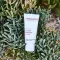 ALOE VERA CREME médium sans parfum, 30 ml
