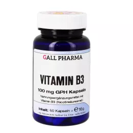 VITAMIN B3 100 mg GPH Capsules, 60 pc