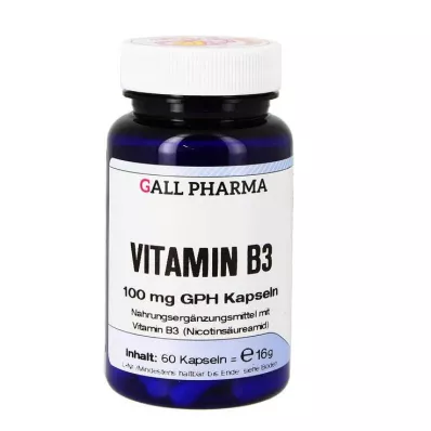 VITAMIN B3 100 mg GPH Capsules, 60 pc