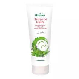 PFERDESALBE rafraîchissant, 100 ml