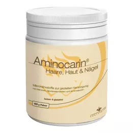 AMINOCARIN Poudre, boîte de 400 g