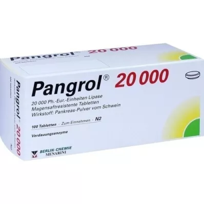 PANGROL 20.000 comprimés gastro-résistants, 100 comprimés