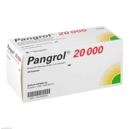 PANGROL 20.000 comprimés gastro-résistants, 100 comprimés
