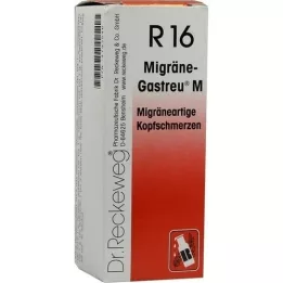 MIGRÄNE-GASTREU Mélange M R16, 50 ml