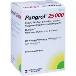 PANGROL 25.000 gélules gastro-résistantes, 100 gélules