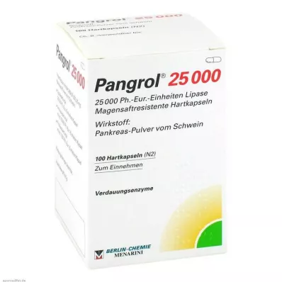 Pangrol 25000 gélules à enrobage gastro-résistant, 100 pièces Pangrol 25000 gélules à enrobage gastro-résistant, 100 pièces