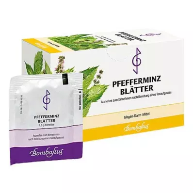 Sachets filtrants pour thé en feuilles de menthe poivrée, 20X1,5 g
