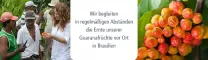 Instructions for use for Poudre de guarana, 100 g - 2