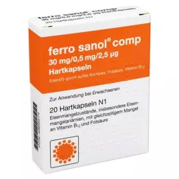 FERRO SANOL comp. gélules avec msr.surf.pellets, 20 gélules