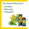 GASTRICHOLAN-L Liquide pour voie orale, 50 ml
