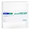 Ampoules Abnobaviscum Betulae D30 (48 pièces)