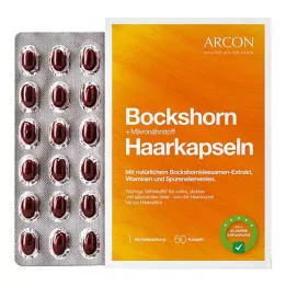 BOCKSHORN+Capsules micronutritionnelles pour cheveux Tisane plus, 60 capsules