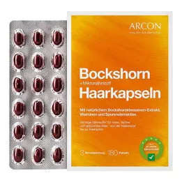 BOCKSHORN+Capsules de micronutrition pour cheveux Tisane plus, 180 capsules