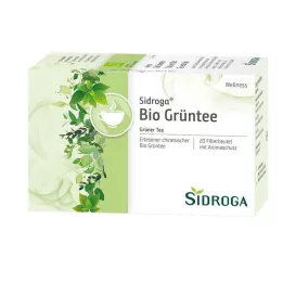SIDROGA Sachets filtres de thé vert Wellness, 20X1.7 g