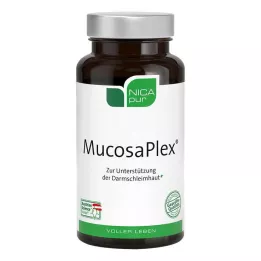 NICAPUR Gélules MucosaPlex, 60 capsules