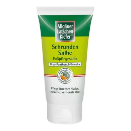 ALLGÄUER LATSCHENK. Pommade contre les crevasses LK-Orange, 75 ml