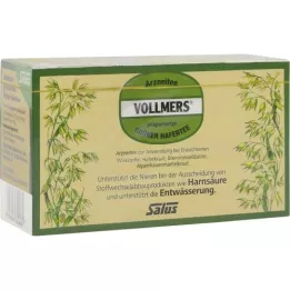 VOLLMERS Thé vert davoine préparé, sachet-filtre, 15 pc