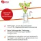 ZELL OXYGEN Cure Immunkomplex liquide, 3X250 ml
