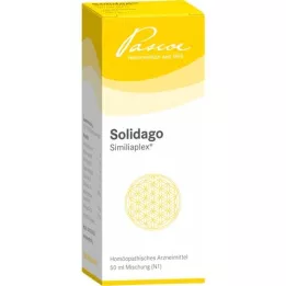 SOLIDAGO SIMILIAPLEX Gouttes, 50 ml