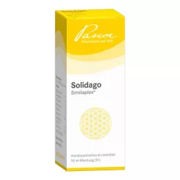 SOLIDAGO SIMILIAPLEX Gouttes, 50 ml
