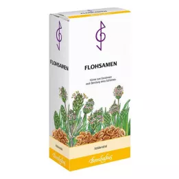 FLOHSAMEN Pépins, 300 g